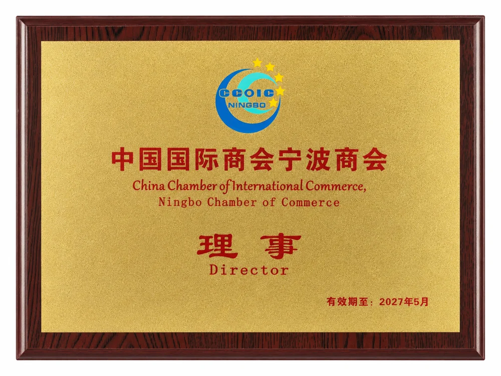 Director en la cámara internacional de Ningbo