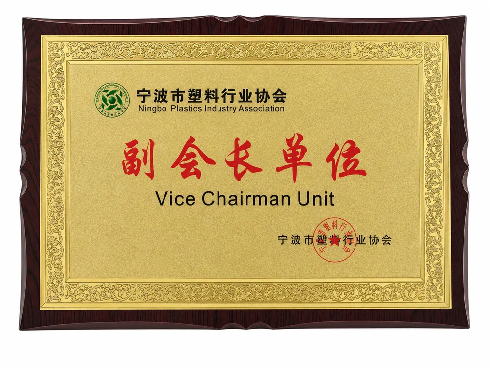 Vicepresidencia del plástico de Ningbo