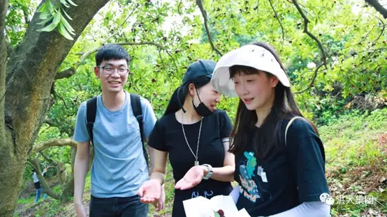 碧水映青山,结伴摘杨梅