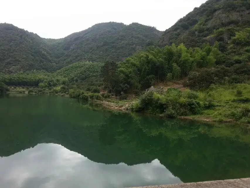 ¡Este fin de semana, subamos juntos a la montaña a recolectar bayas yangmei!