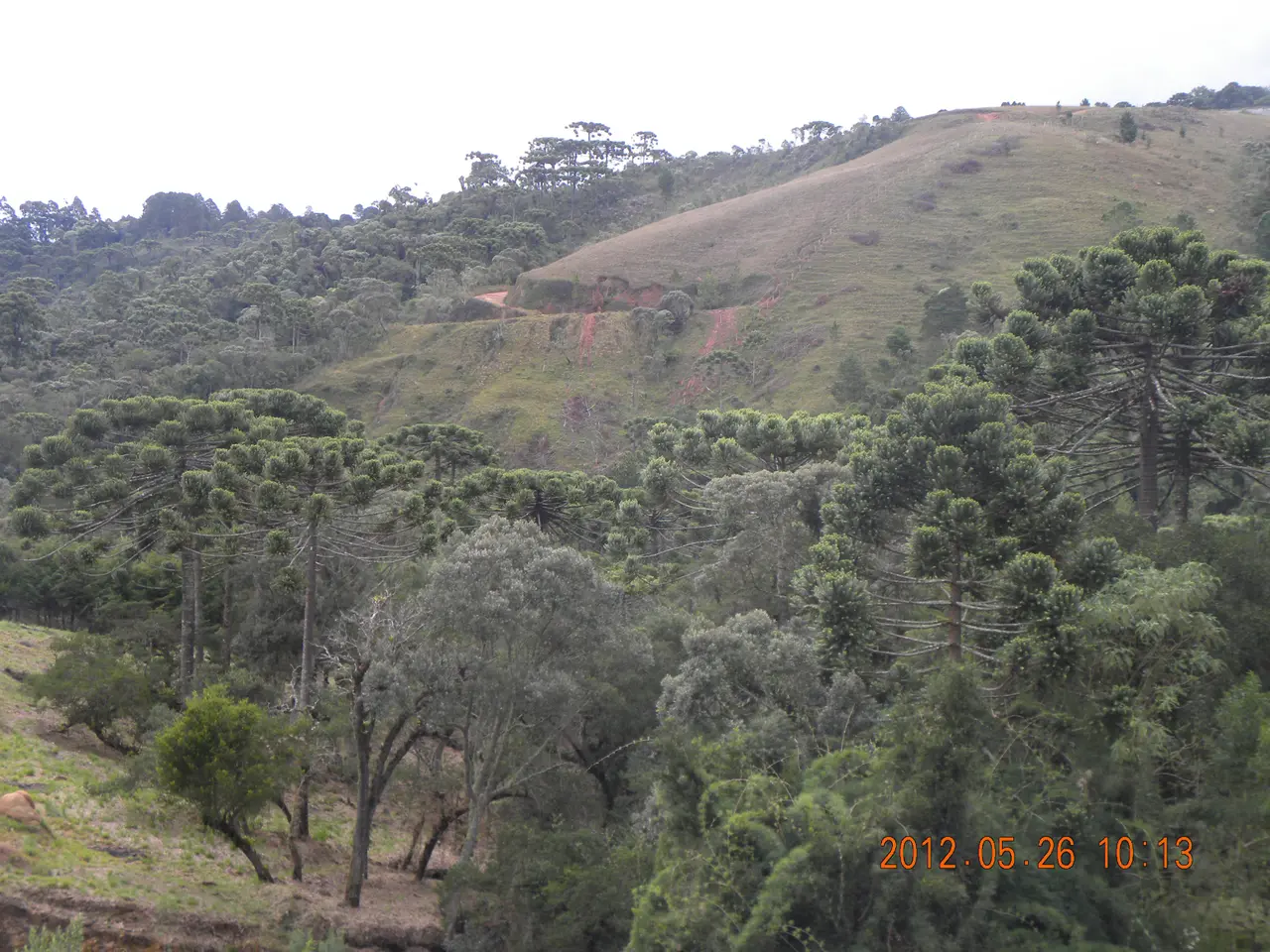 Brazil trip, 2012